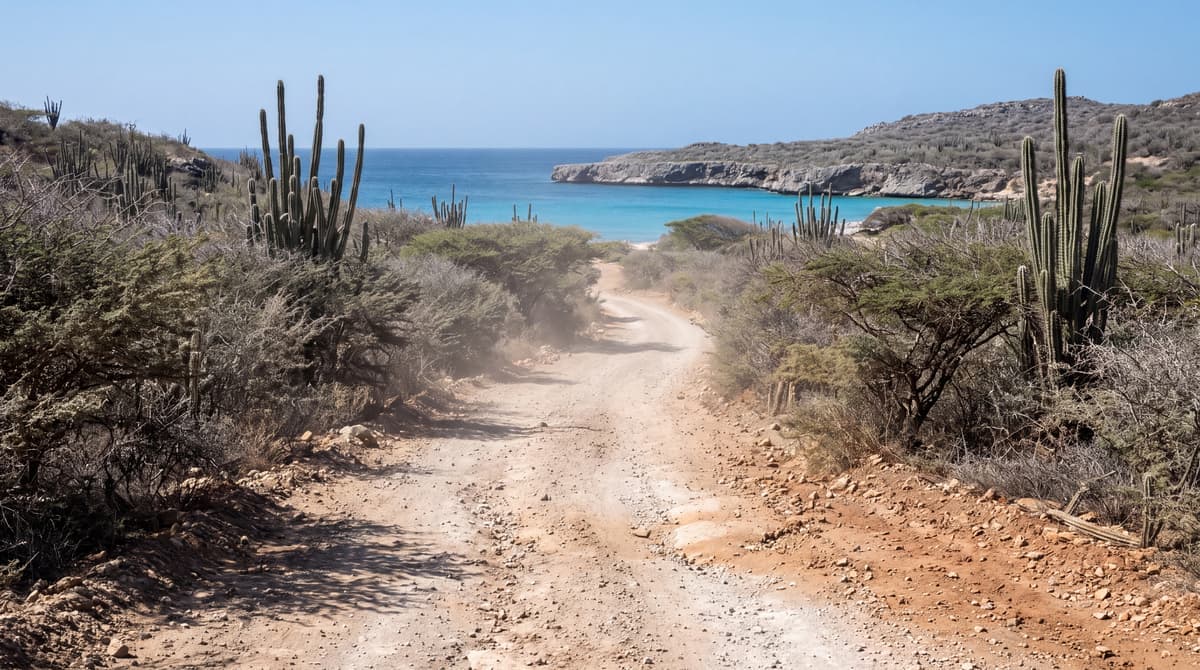Curacao ATV and Buggy Tours: Which Off-Road Adventure Is Right for You