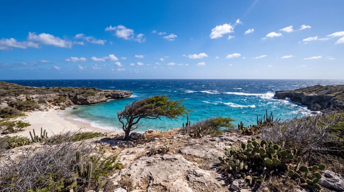 Curacao in January and February: Weather, Crowds, and Carnival Season