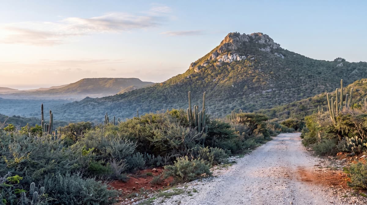 Five Days on Curacao: A Day by Day Plan That Actually Fits