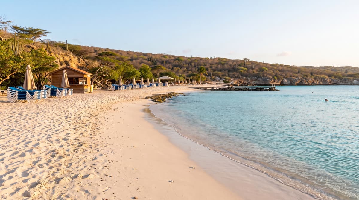 Is There Sargassum in Curacao? An Honest Seaweed Guide for 2026