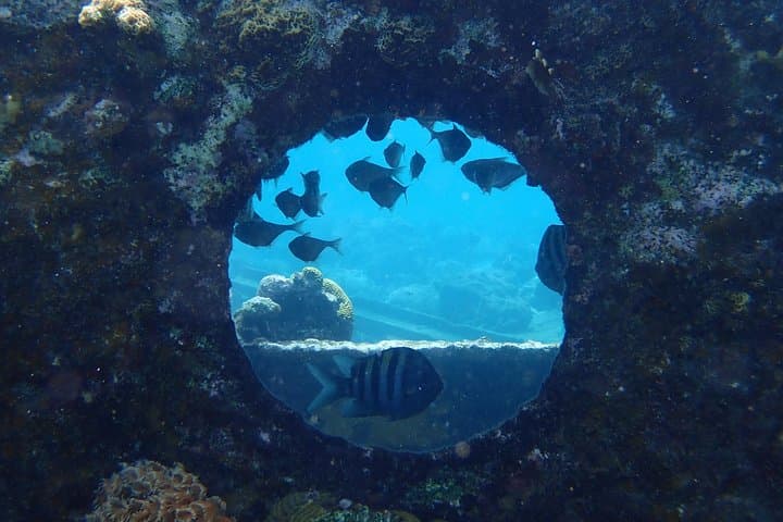 Discover Diving in Curacao, Caracasbaai area, Curacao